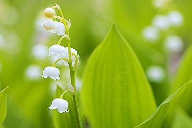 《全战》开发商打造第三人称动作游戏 虚幻5引擎